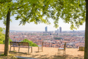 Photo du jardin des curiosités