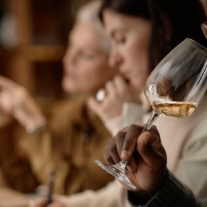 El sabor del vino: experiencia vitivinícola