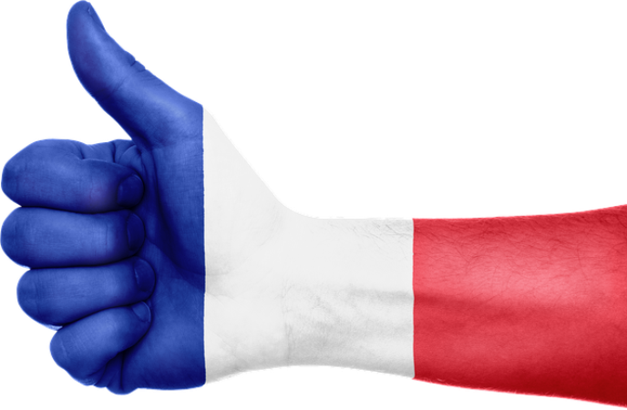 5 bonnes raisons d’apprendre le français