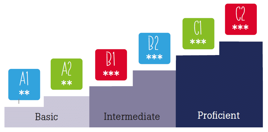 from basic to proficient level in French